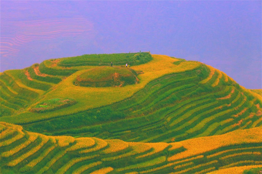 0S0A1518_meitu_20_conew1.jpg
