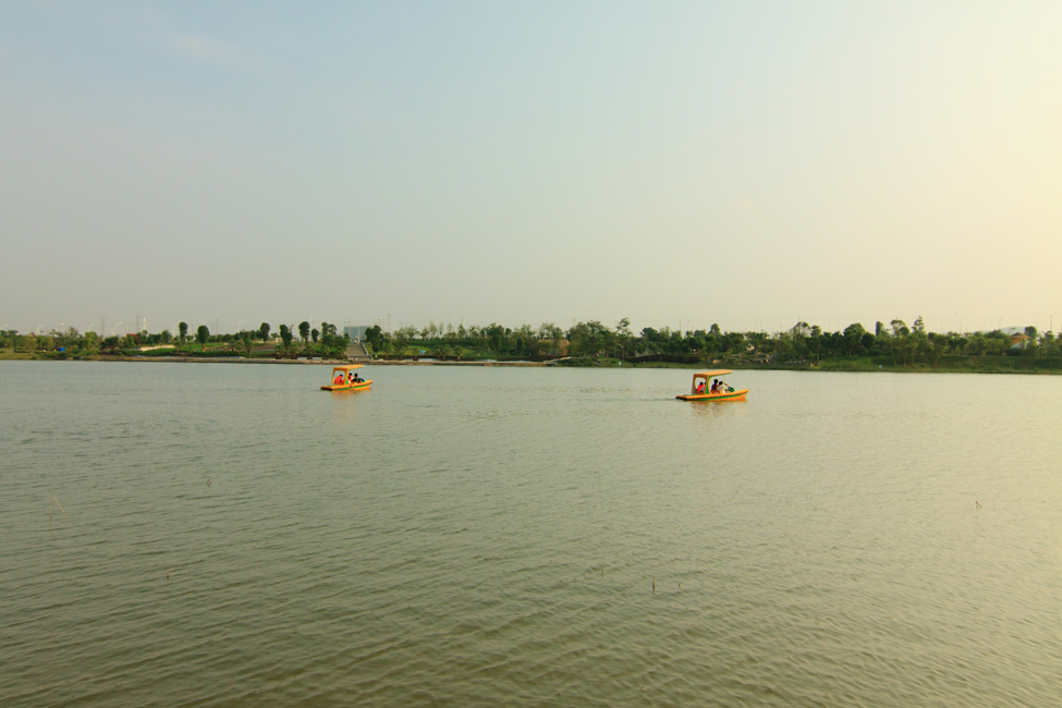P20.jpg