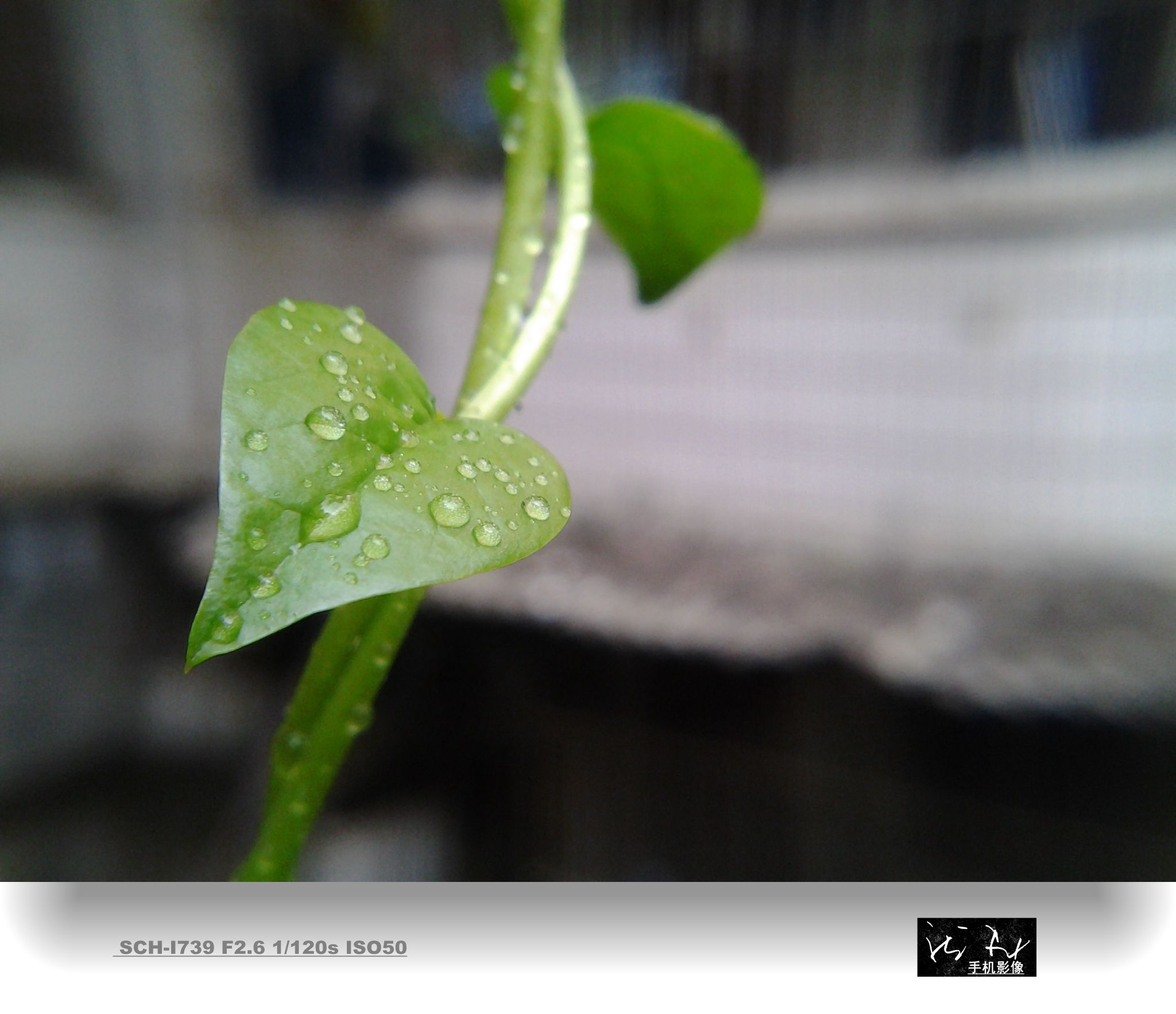 20141006_092241_副本.jpg