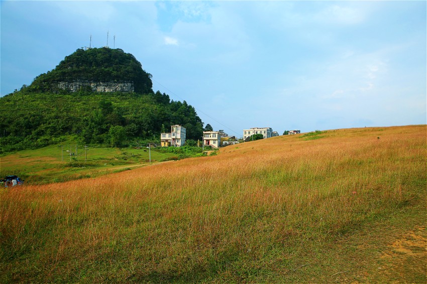0S0A2323_meitu_17_conew1.jpg