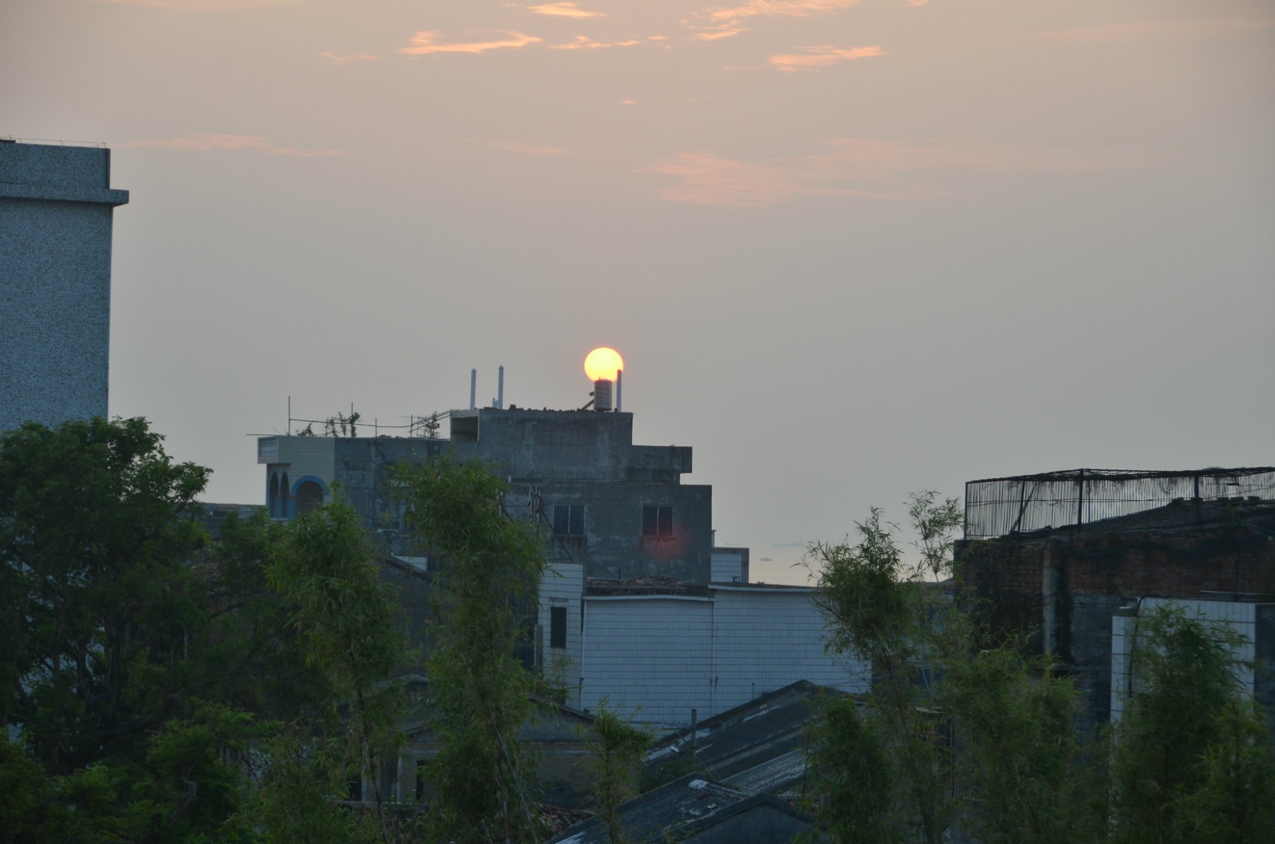 WYZ_1167.JPG