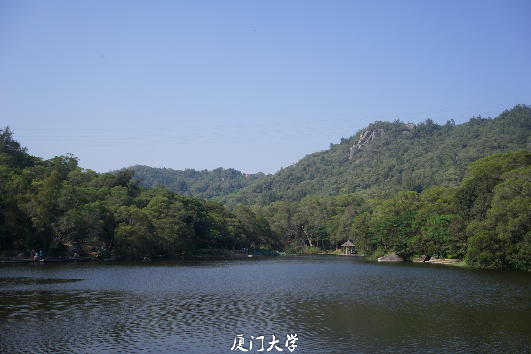 DSC04929.jpg