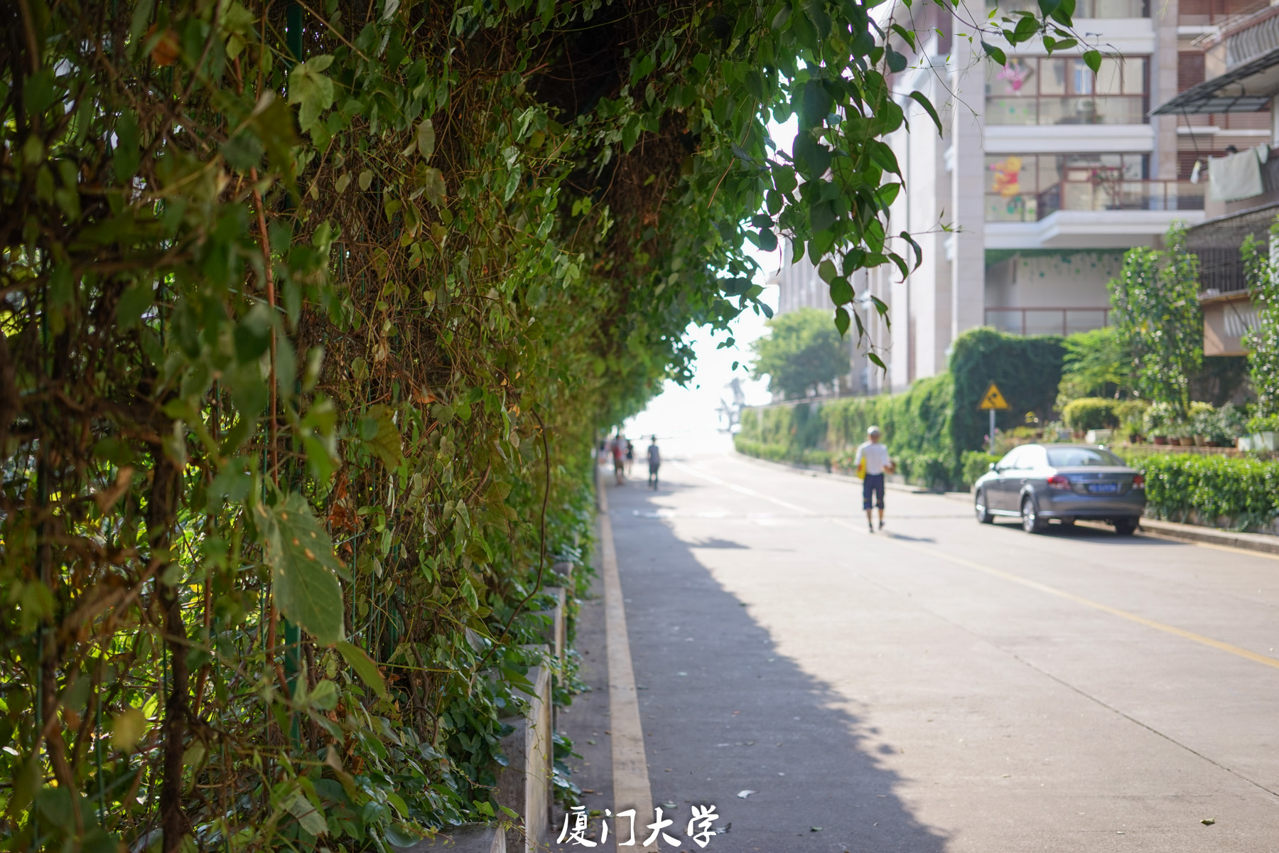 DSC04942.jpg
