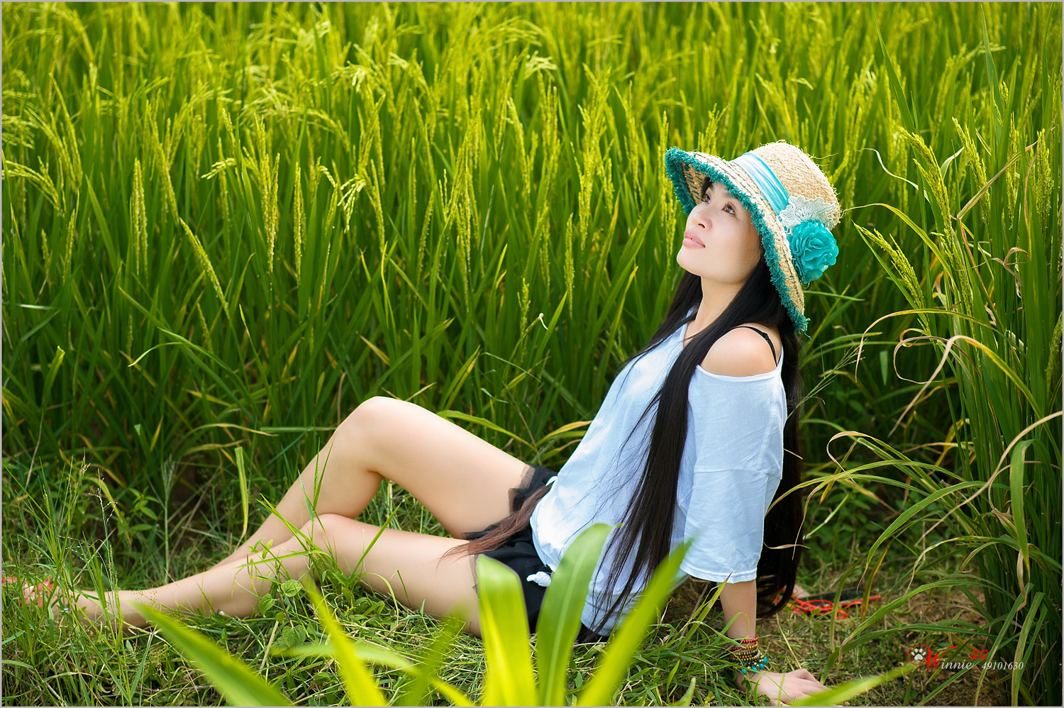 【秋闻稻花香3】
