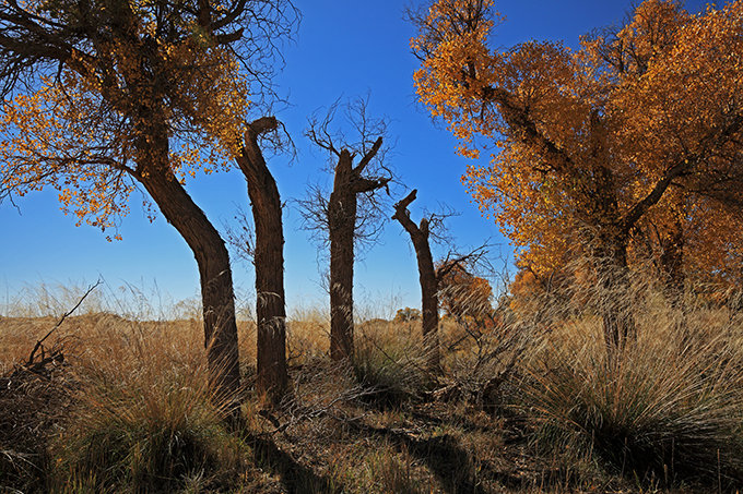 aIMG_3055.jpg