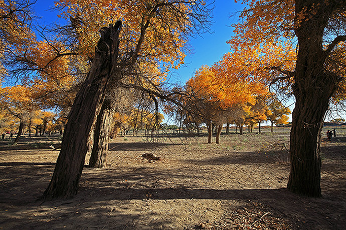 aIMG_3263.jpg