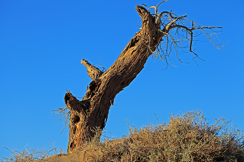 aIMG_3144.jpg