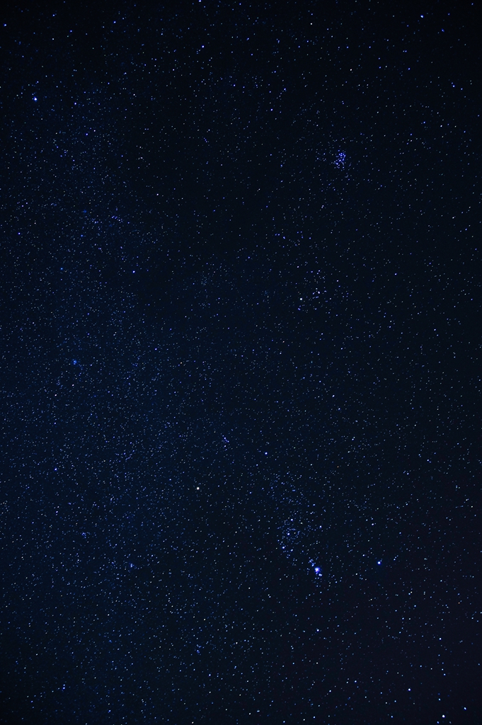 _IMG5536.jpg