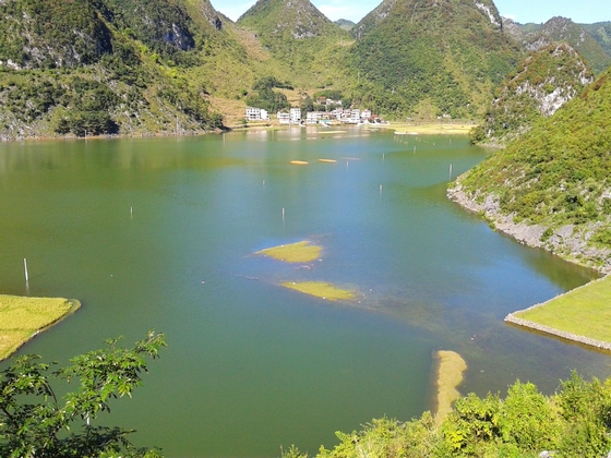 20140921_154859.jpg