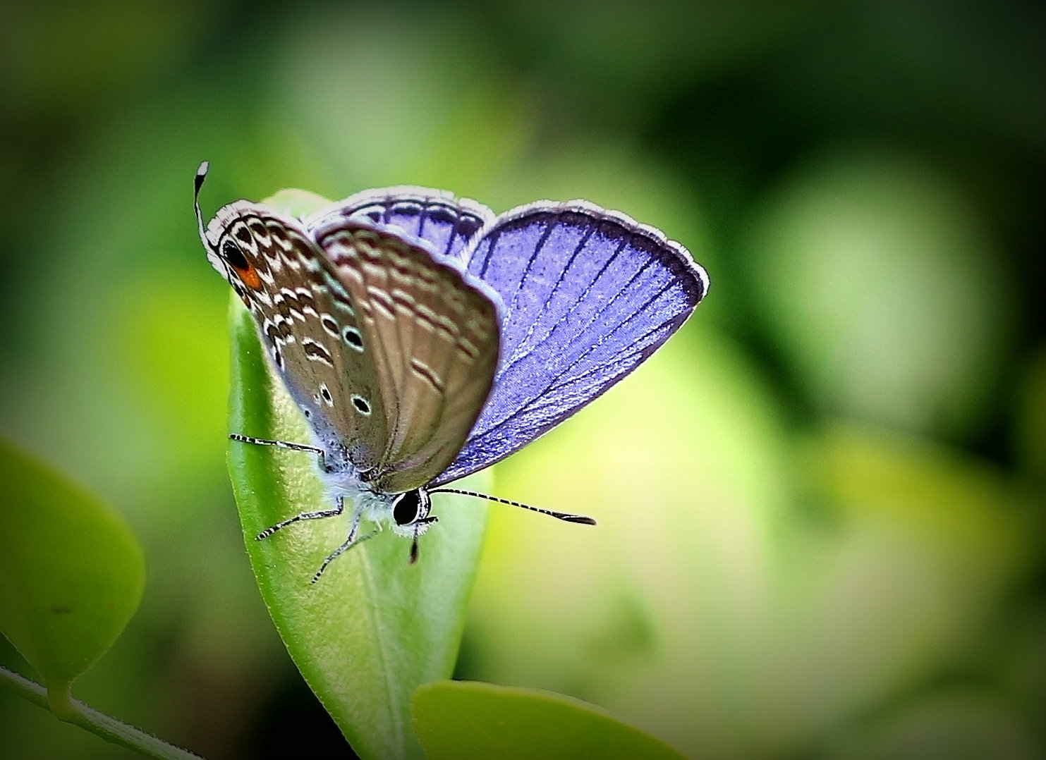 IMG_7585_鍓?湰.jpg