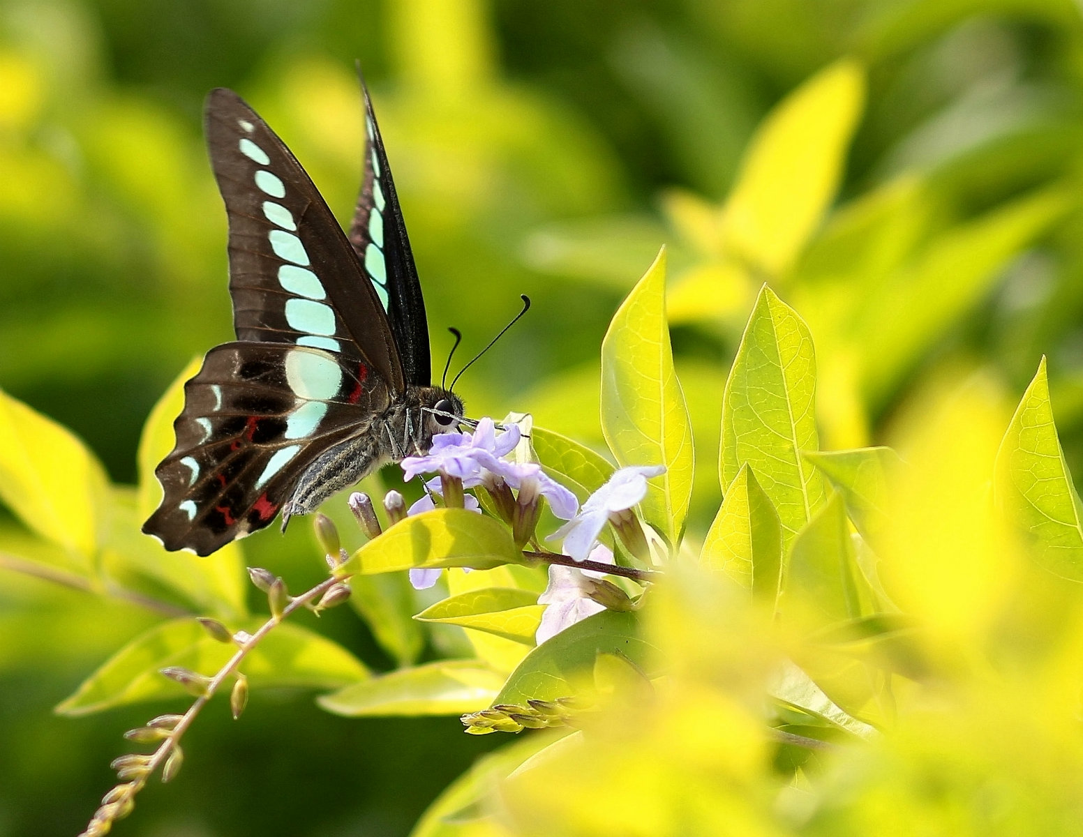 IMG_8191_鍓?湰_鍓?湰.jpg