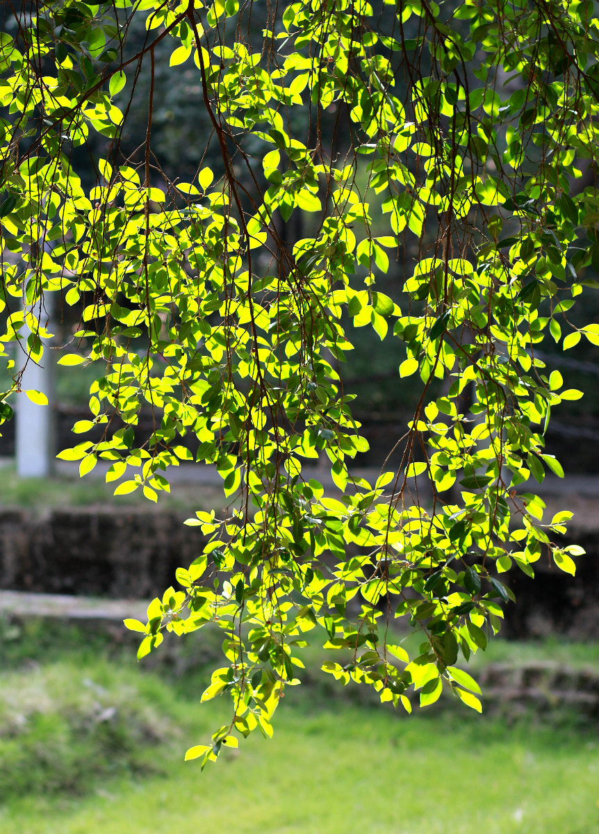 IMG_7805_鍓?湰_鍓?湰_鍓?湰.jpg