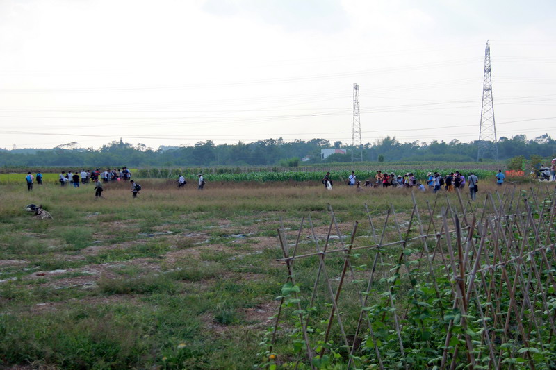 IMG_0478_缩小大小.JPG