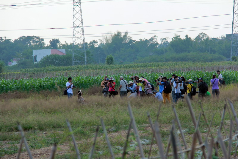 IMG_0480_缩小大小.JPG