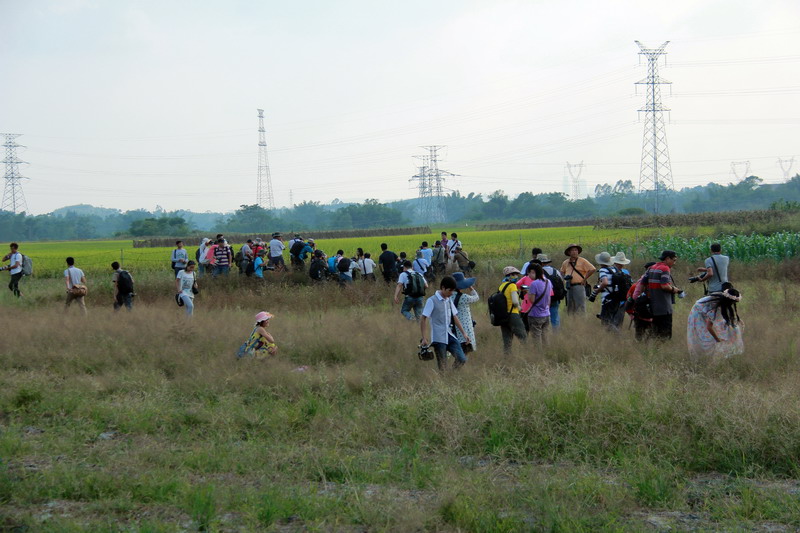 IMG_0483_缩小大小.JPG