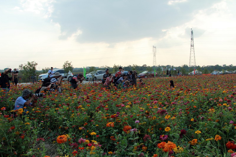 IMG_0508_缩小大小.JPG