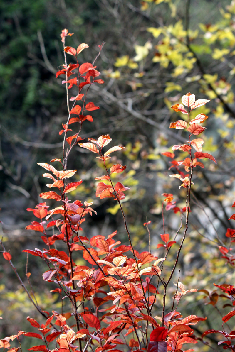 IMG_8218_鍓?湰_鍓?湰.jpg