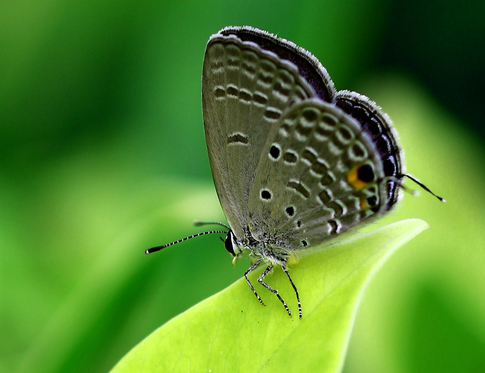 IMG_7602_鍓?湰.jpg