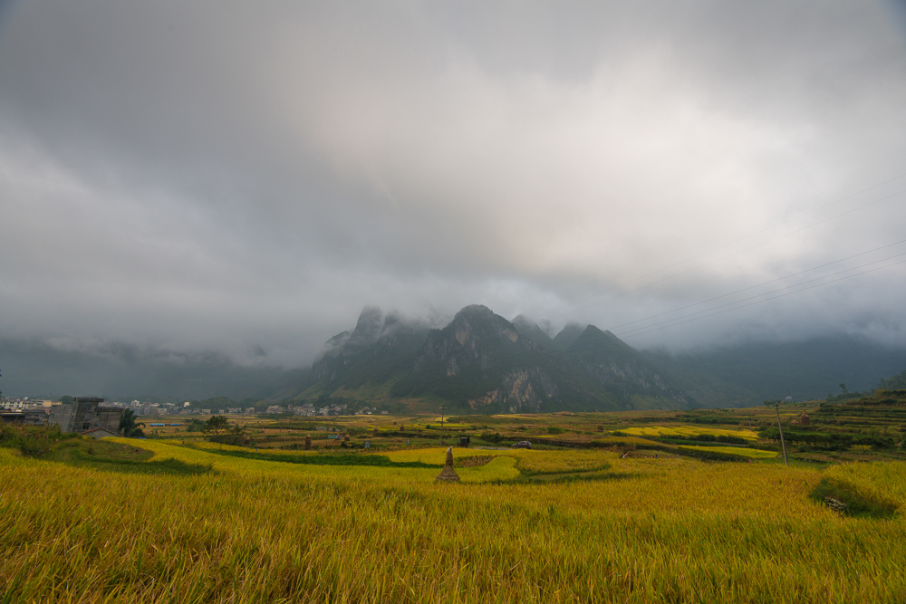 2014田林岑王老山-37.jpg