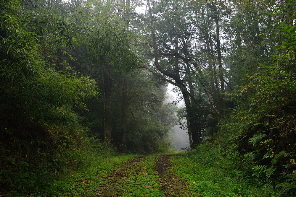 20141003_210田林岑王老山.jpg