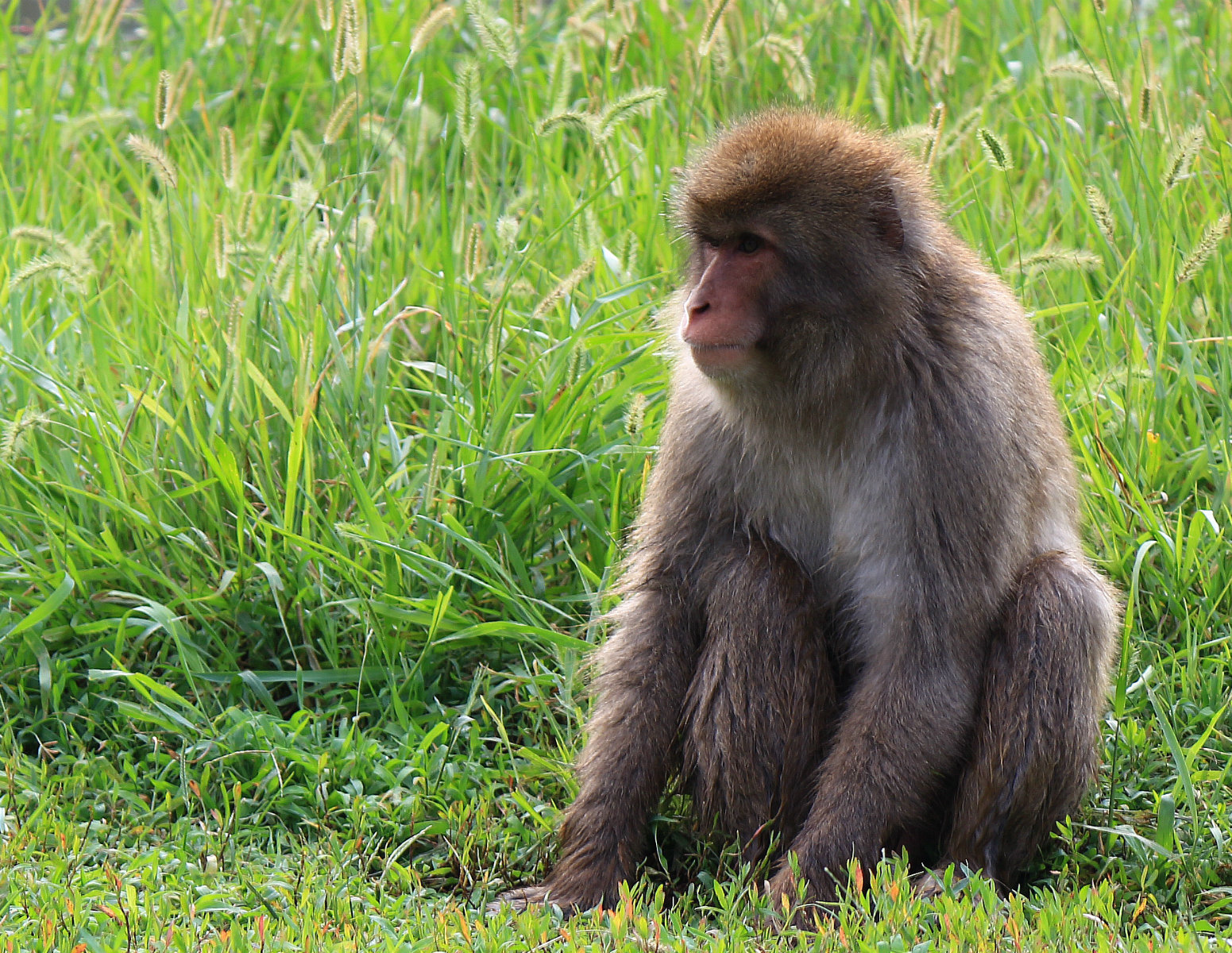 IMG_6717_鍓?湰.jpg