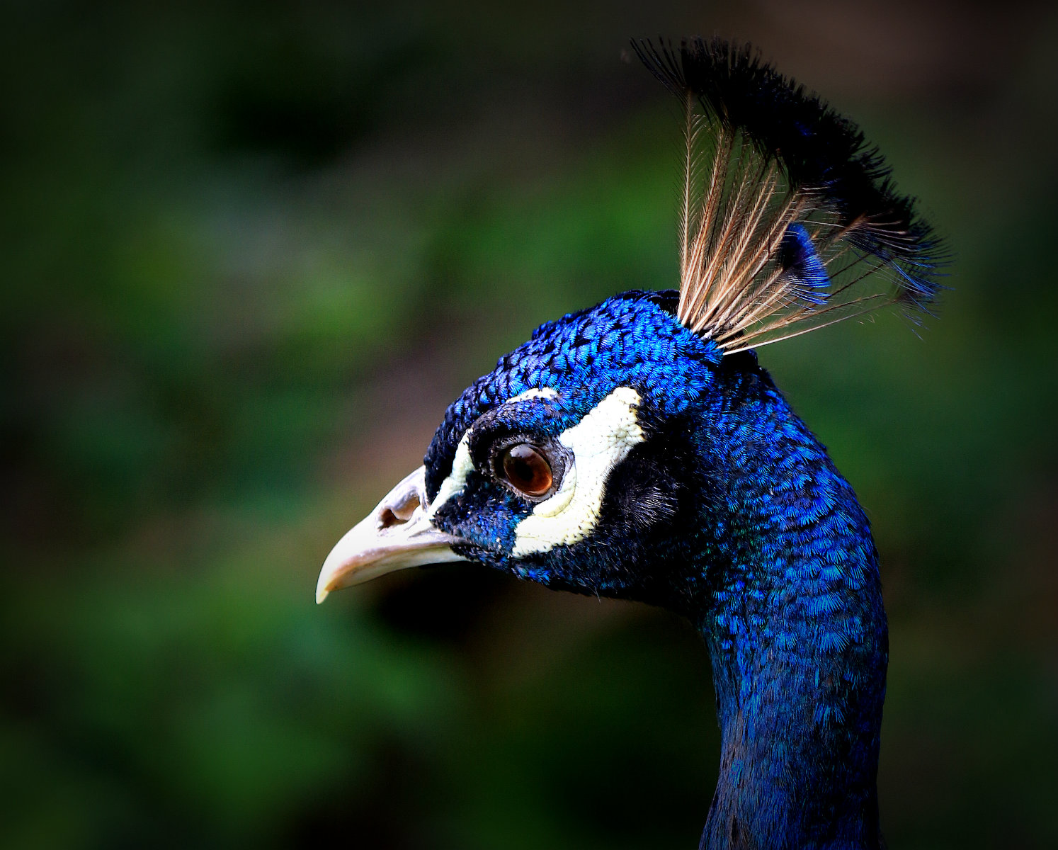 IMG_6755_鍓?湰.jpg