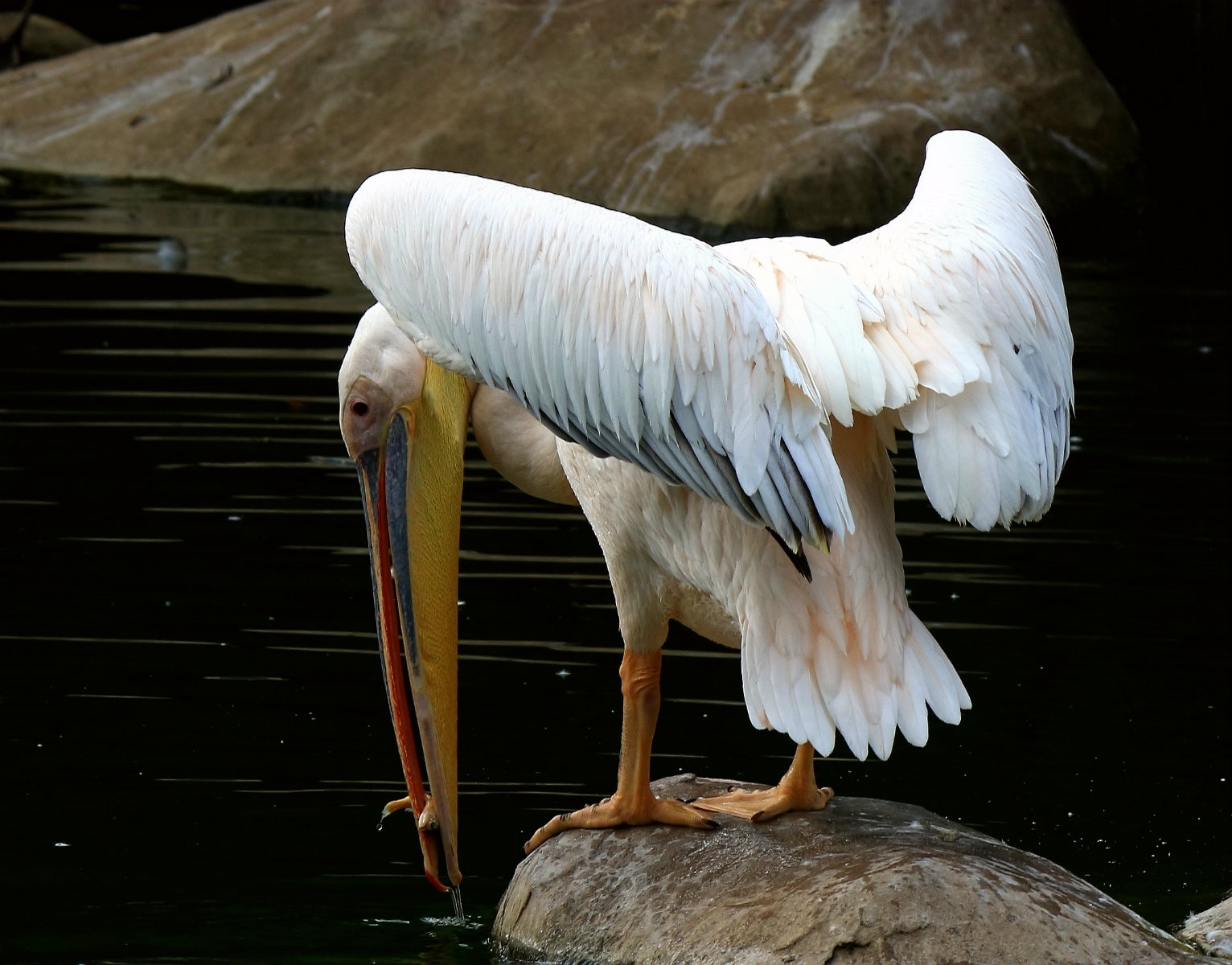 IMG_6783_鍓?湰.jpg