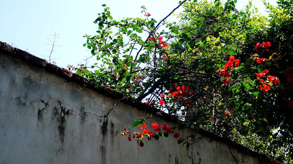 DSC0935405.jpg