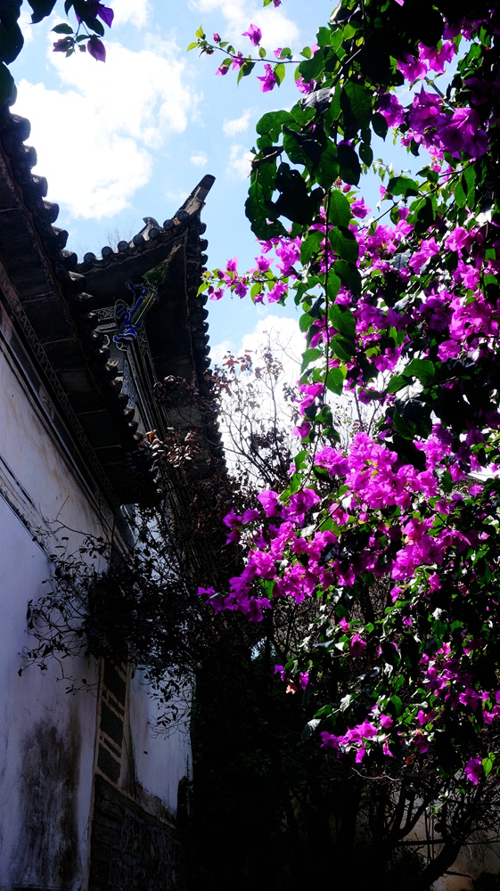 DSC0937110.jpg