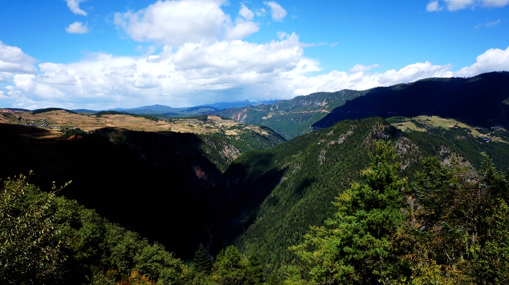 DSC0942205.jpg