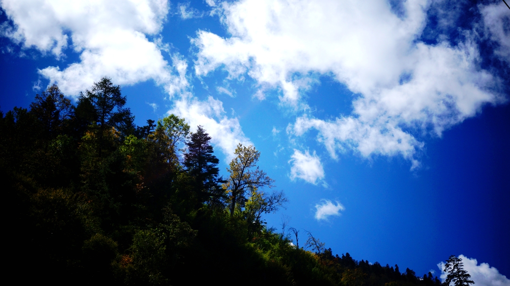 DSC0942807.jpg