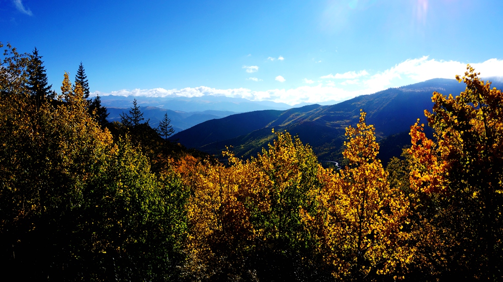 DSC0962705.jpg