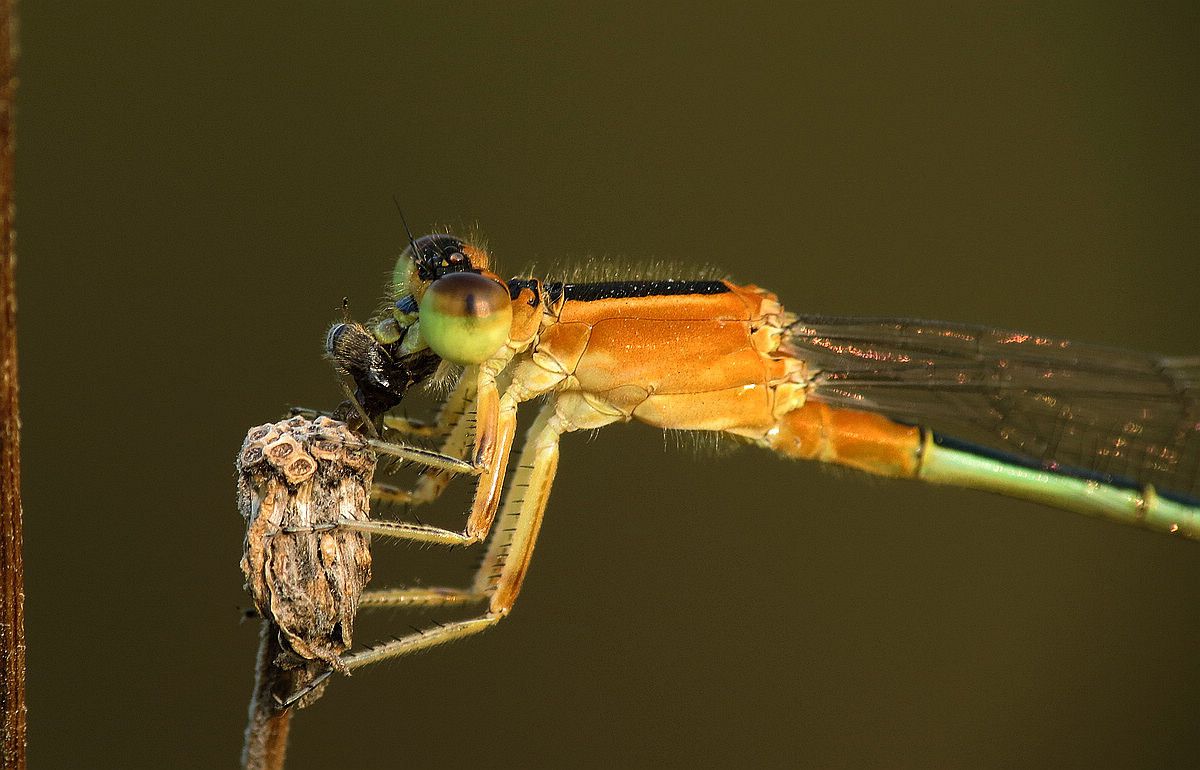 IMG_1382_副本.jpg