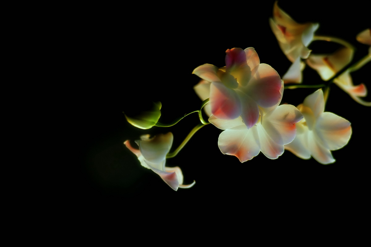 DSC_7603_副本_副本_filtered.jpg