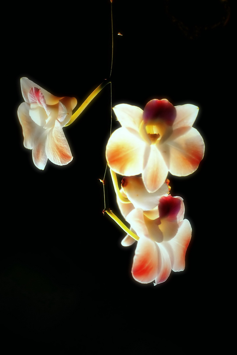 DSC_7605_副本_filtered.jpg