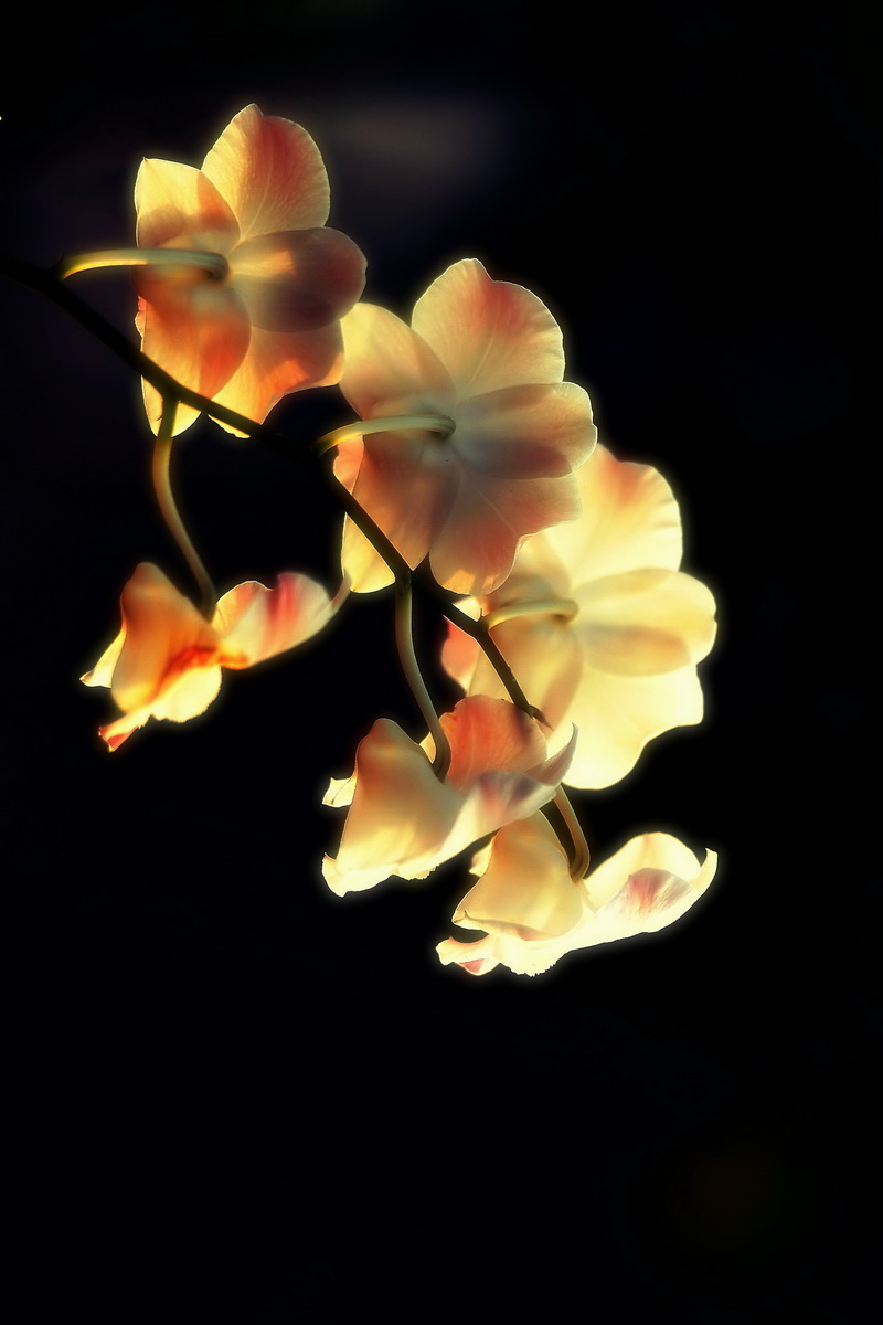 DSC_7606_副本_filtered.jpg