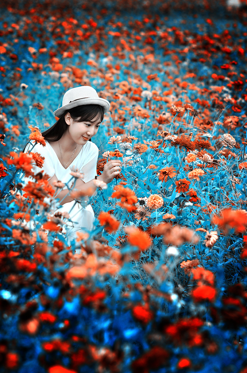 9184.jpg