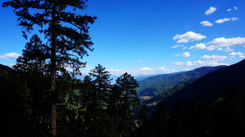 DSC0949404.jpg