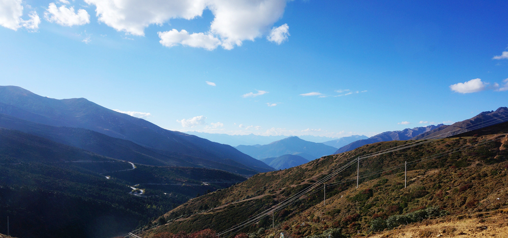 DSC0951401.jpg