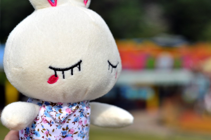 DSC_0076_缩小大小.JPG