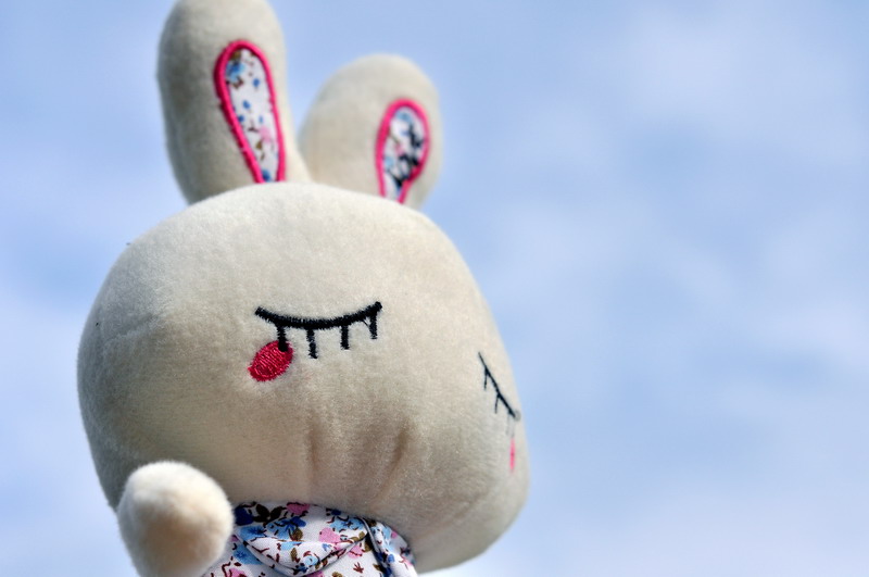 DSC_0084_缩小大小.JPG