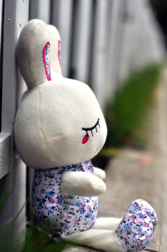 DSC_0017_缩小大小.JPG