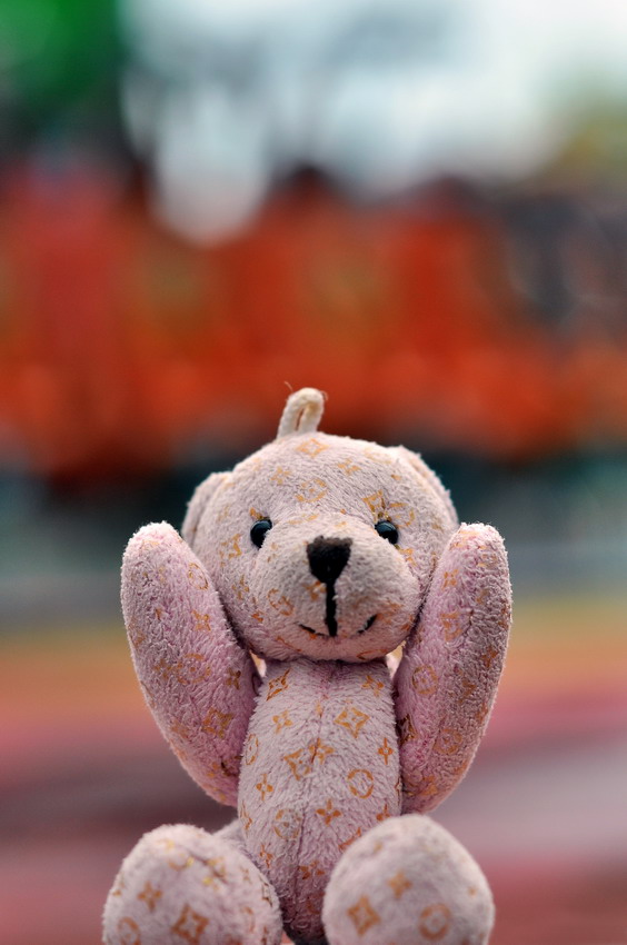 DSC_0036_缩小大小.JPG