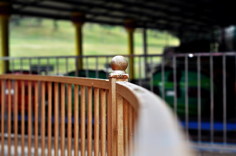 DSC_0056_缩小大小.JPG