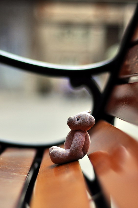 DSC_0061_缩小大小.JPG