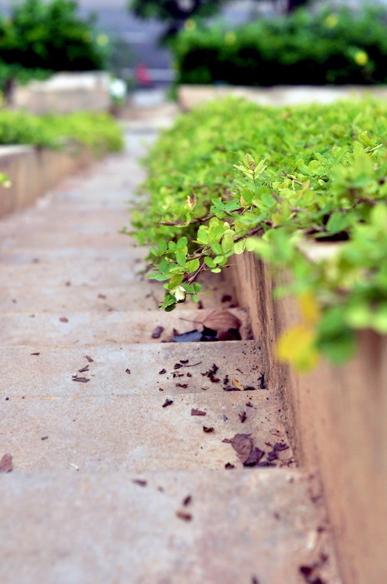 DSC_0117_缩小大小.JPG