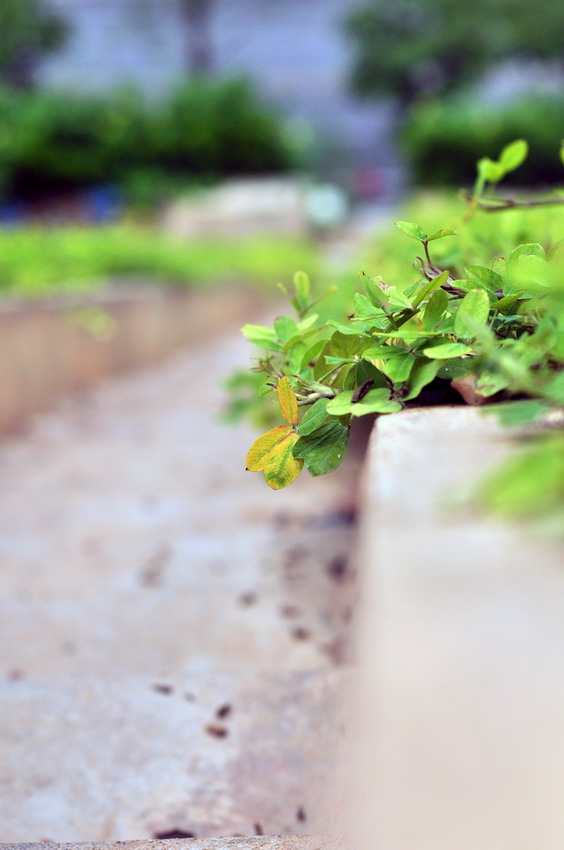 DSC_0118_缩小大小.JPG