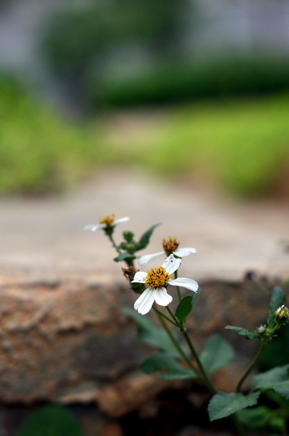 DSC_0120_缩小大小.JPG
