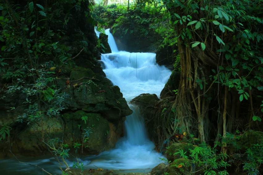 0S0A3687_conew1.JPG