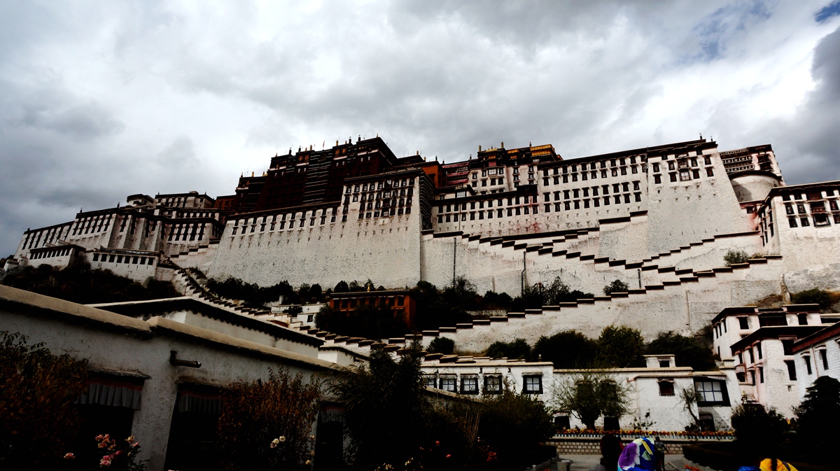 DSC0011109.jpg